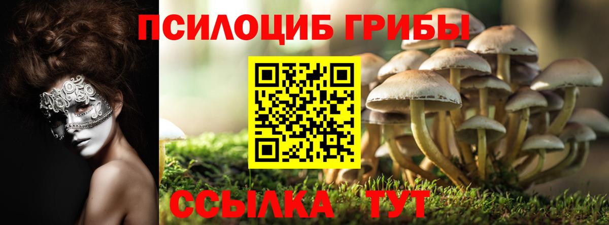 Галлюциногенные грибы прущие грибы  Вход с VPN  Долгопрудный  Псилоцибиновые грибы прущие грибы 